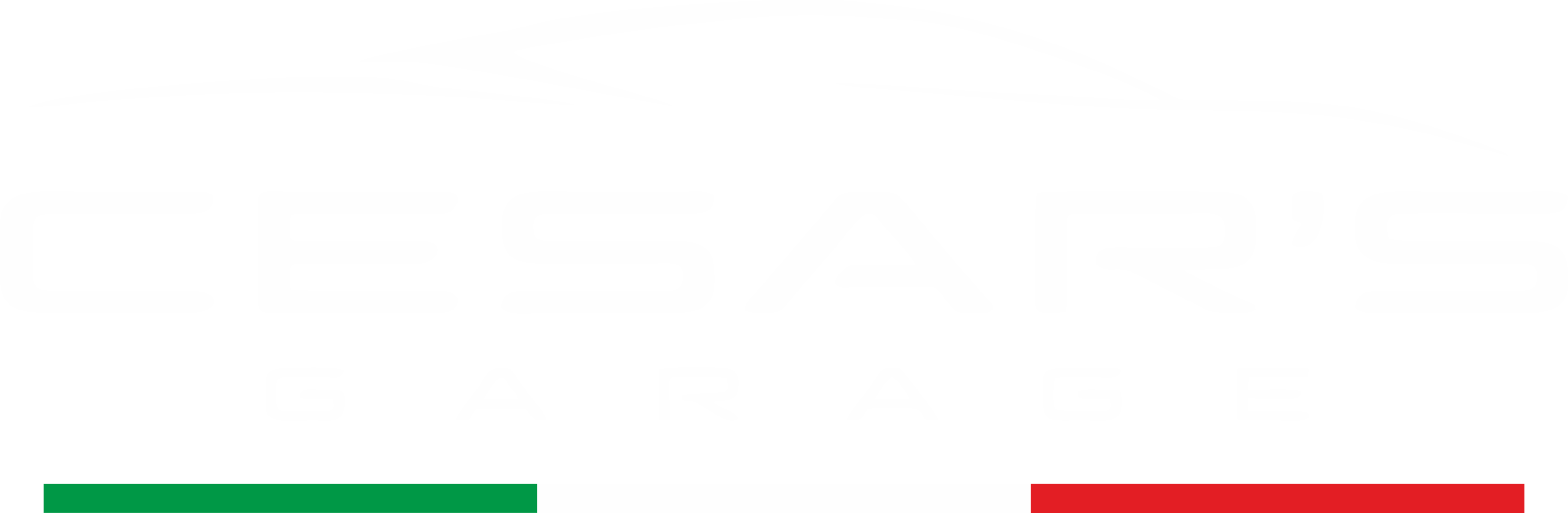 Cesar's Garage